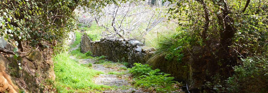 Andros Maisonettes Agios Petros  Luaran gambar